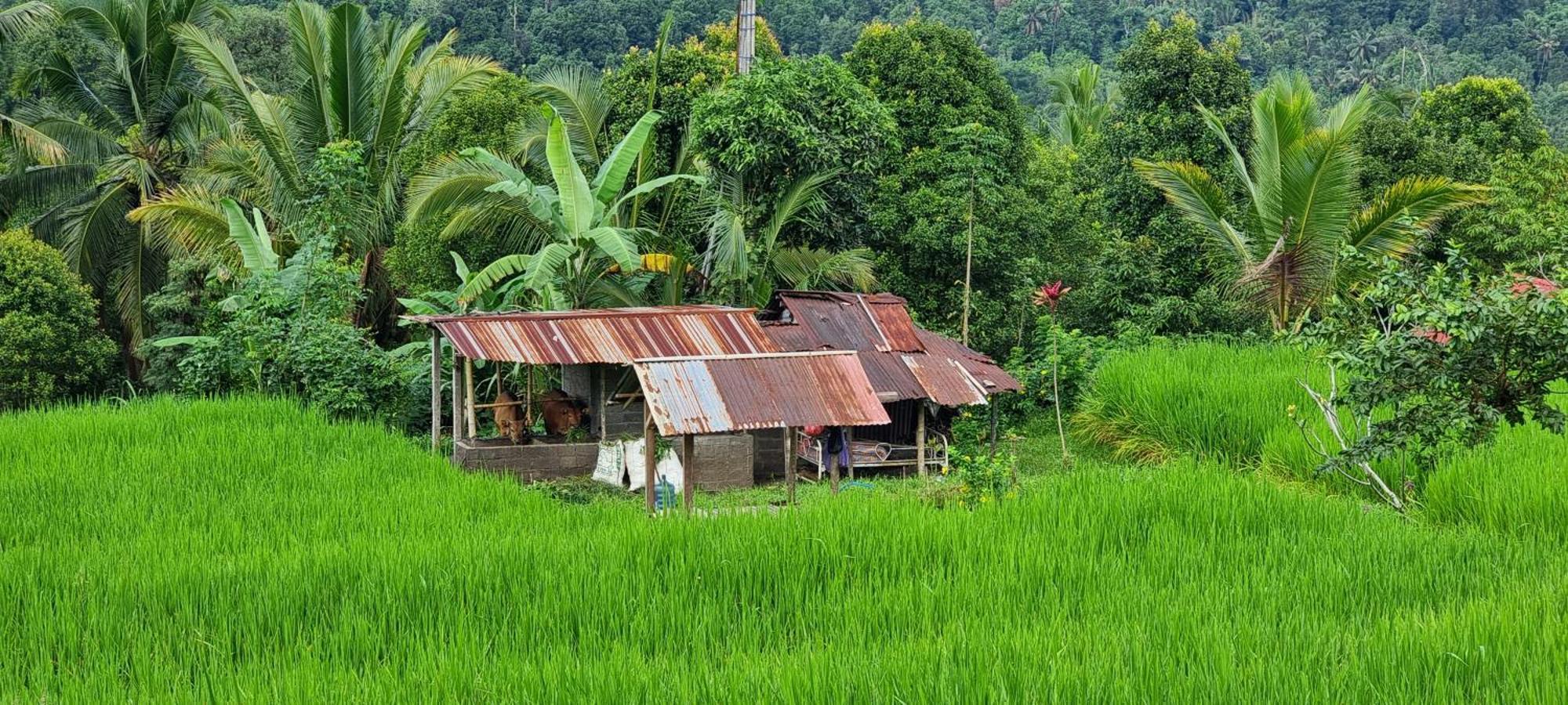 Villa Utopiaku - Munduk Highlands Exterior foto