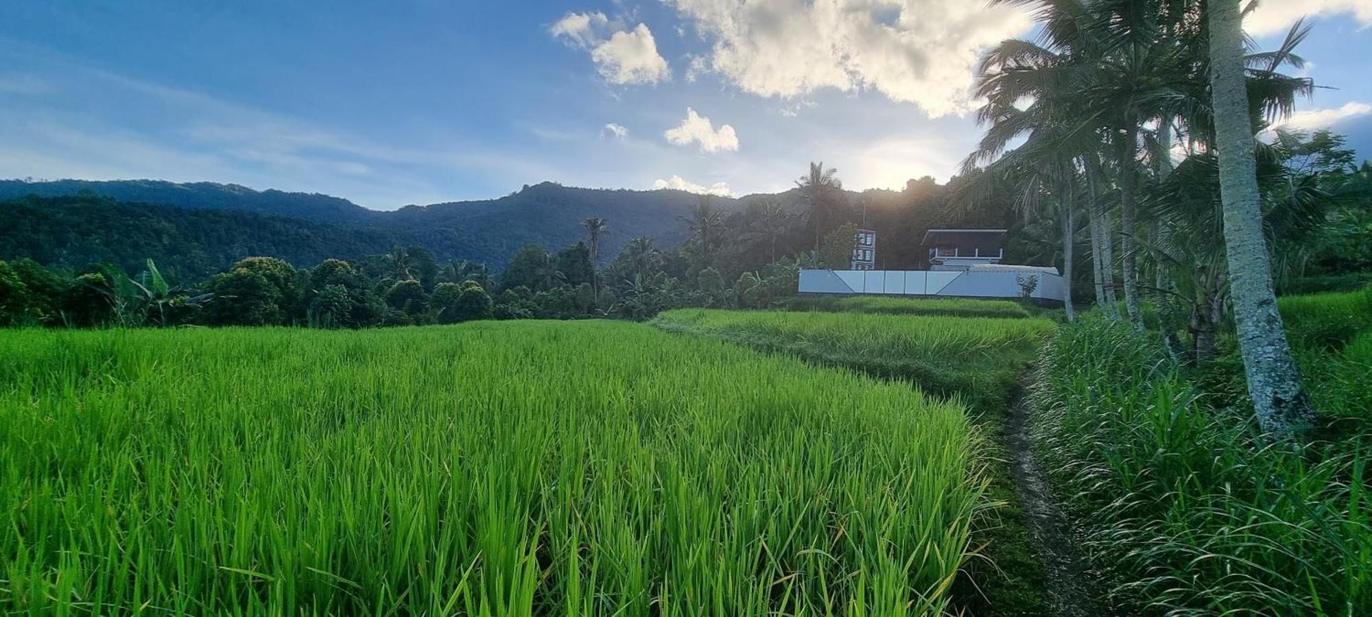 Villa Utopiaku - Munduk Highlands Exterior foto