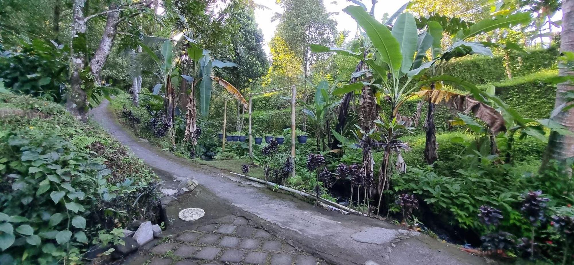 Villa Utopiaku - Munduk Highlands Exterior foto